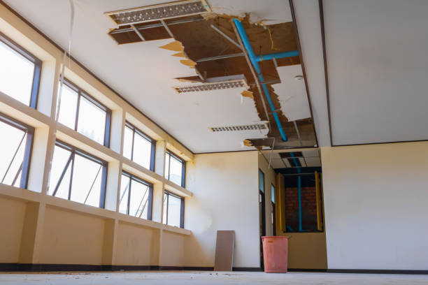 Best Water damage restoration near me  in Baldwin, MI