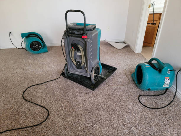 Trusted Baldwin, MI Water damage restoration Experts